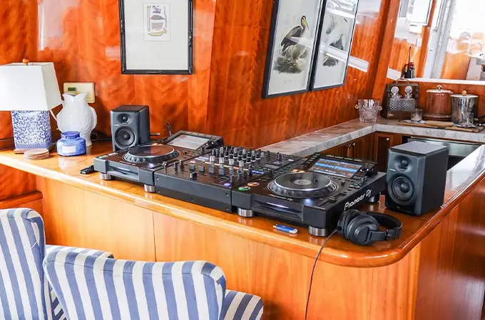 DJ and entertainment hover image